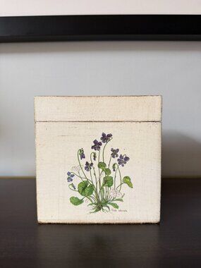 Vintage (circa 2000) Vietri Tissue Box